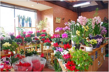 長野県大町市の花屋 カワカミ園芸にフラワーギフトはお任せください 当店は 安心と信頼の花キューピット加盟店です 花キューピットタウン